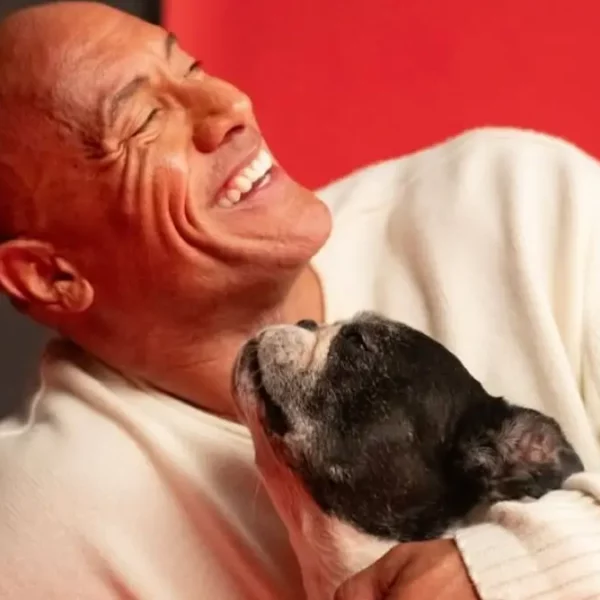 Actionstars in neuen Rollen - Dwayne Johnson