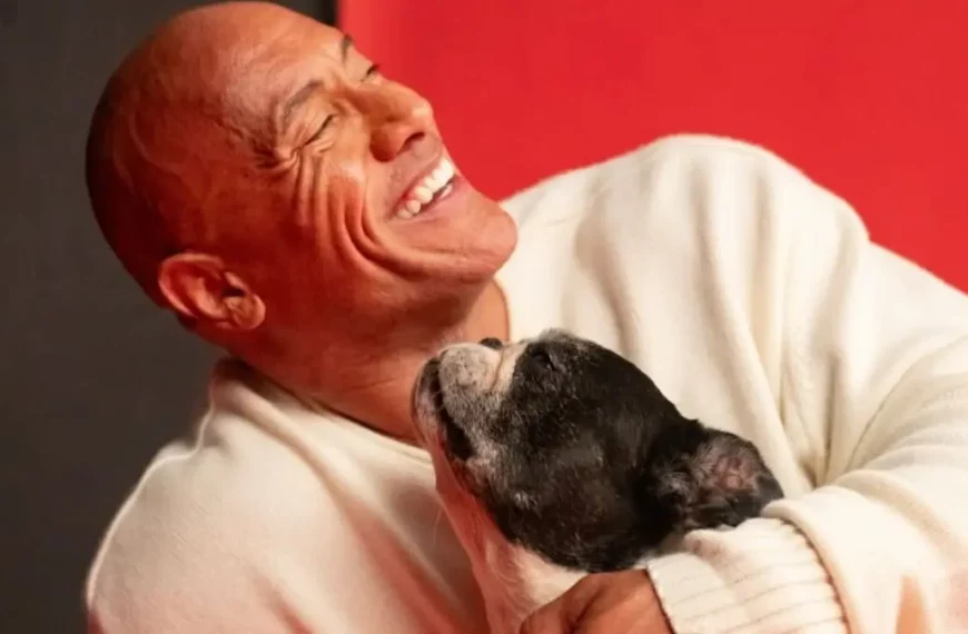 Actionstars in neuen Rollen - Dwayne Johnson