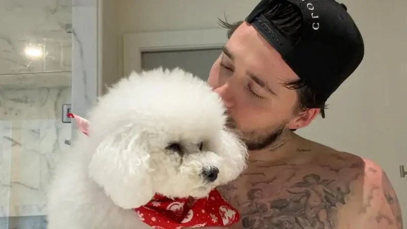 Brooklyn Beckham und sein Hund