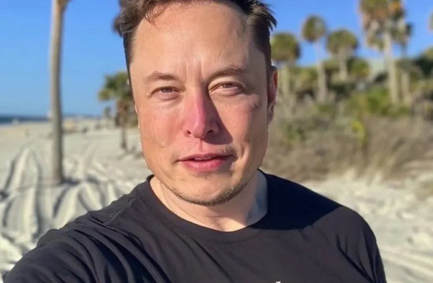 Elon Musk Alltag im Fokus