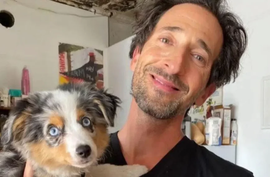 Adrien Brody - ruhig, zurückgezogen und künstlerisch