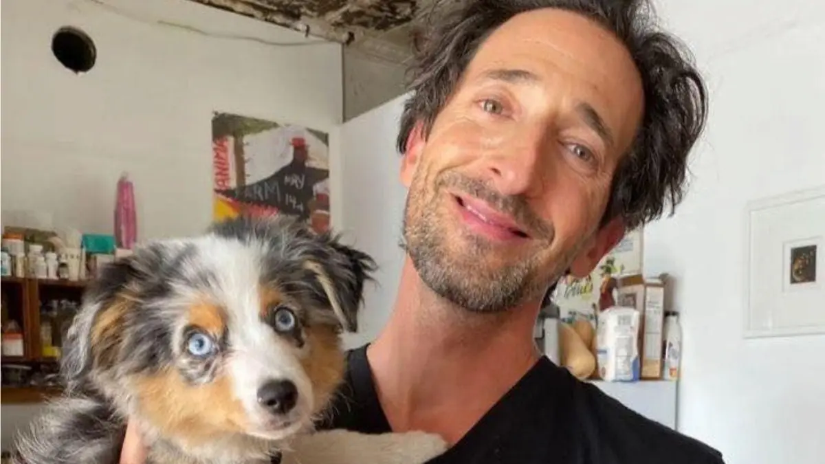 Adrien Brody - ruhig, zurückgezogen und künstlerisch